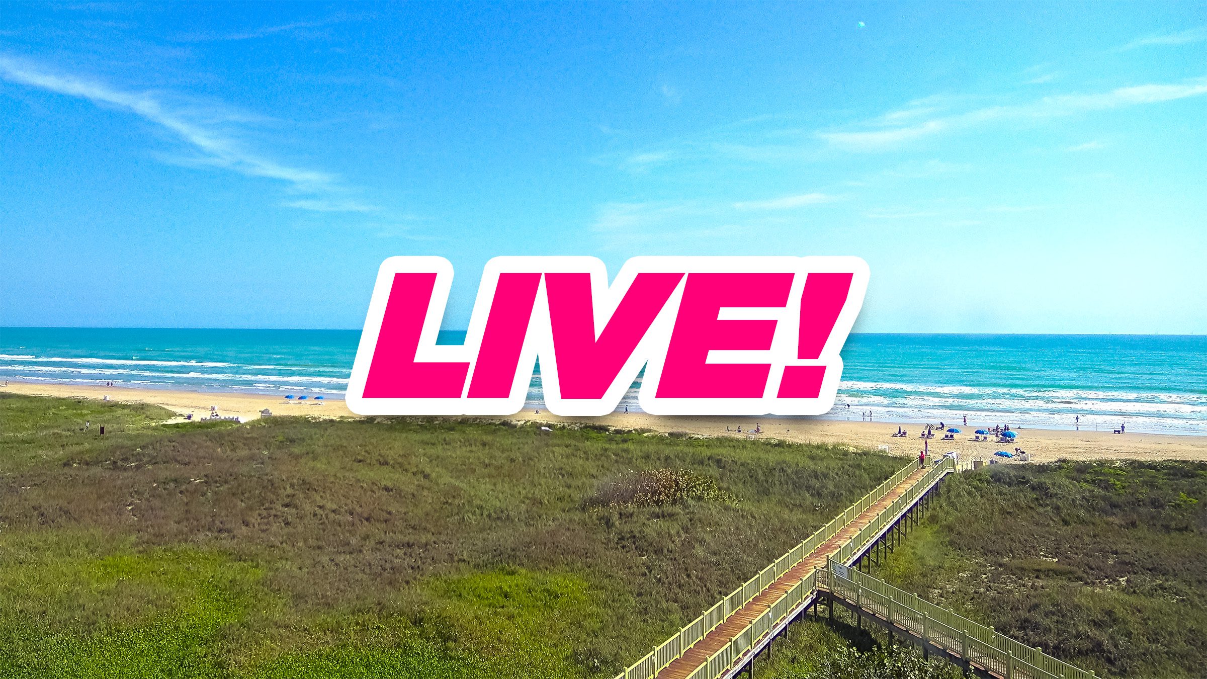Live cam in south padre island