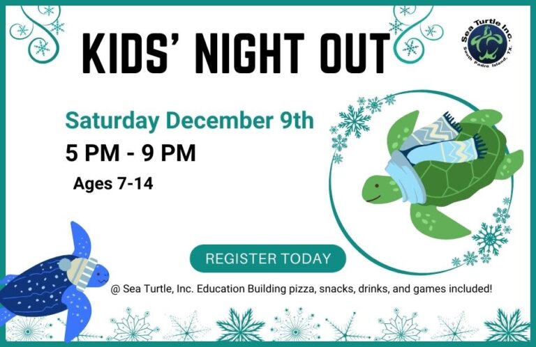Kids Night Out – Sea Turtle Inc.